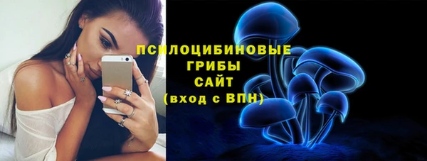 мдпв Арсеньев